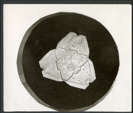 A black and white film photograph of a snowflake on a black circle on a white background.