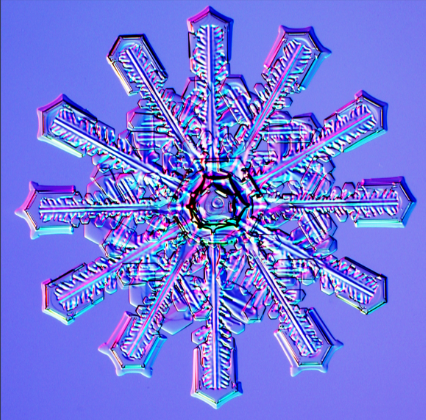 Image shows a colourful picture of a snowflake with 12 spikes on a dark blue background.