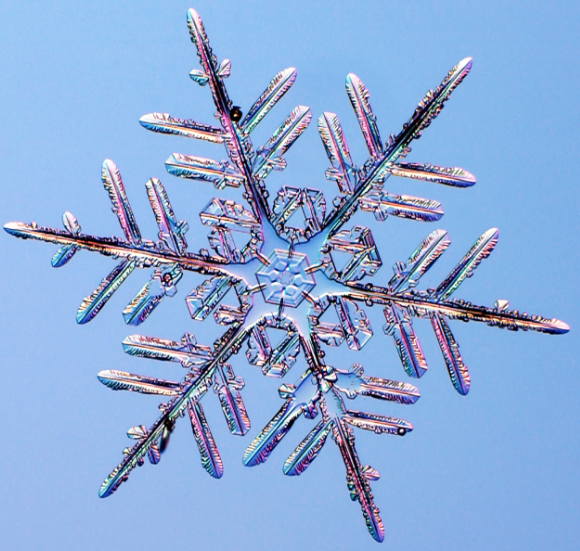 Image shows a colourful picture of a snowflake with 6 spikes on a light blue background.